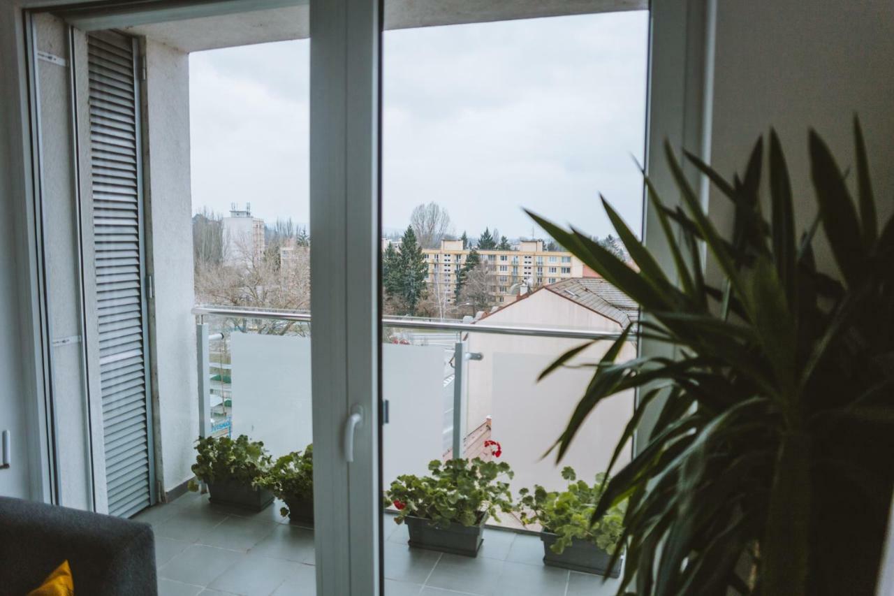 Design Apartment, The City Centre Close To The Health Spa Пиещани Екстериор снимка
