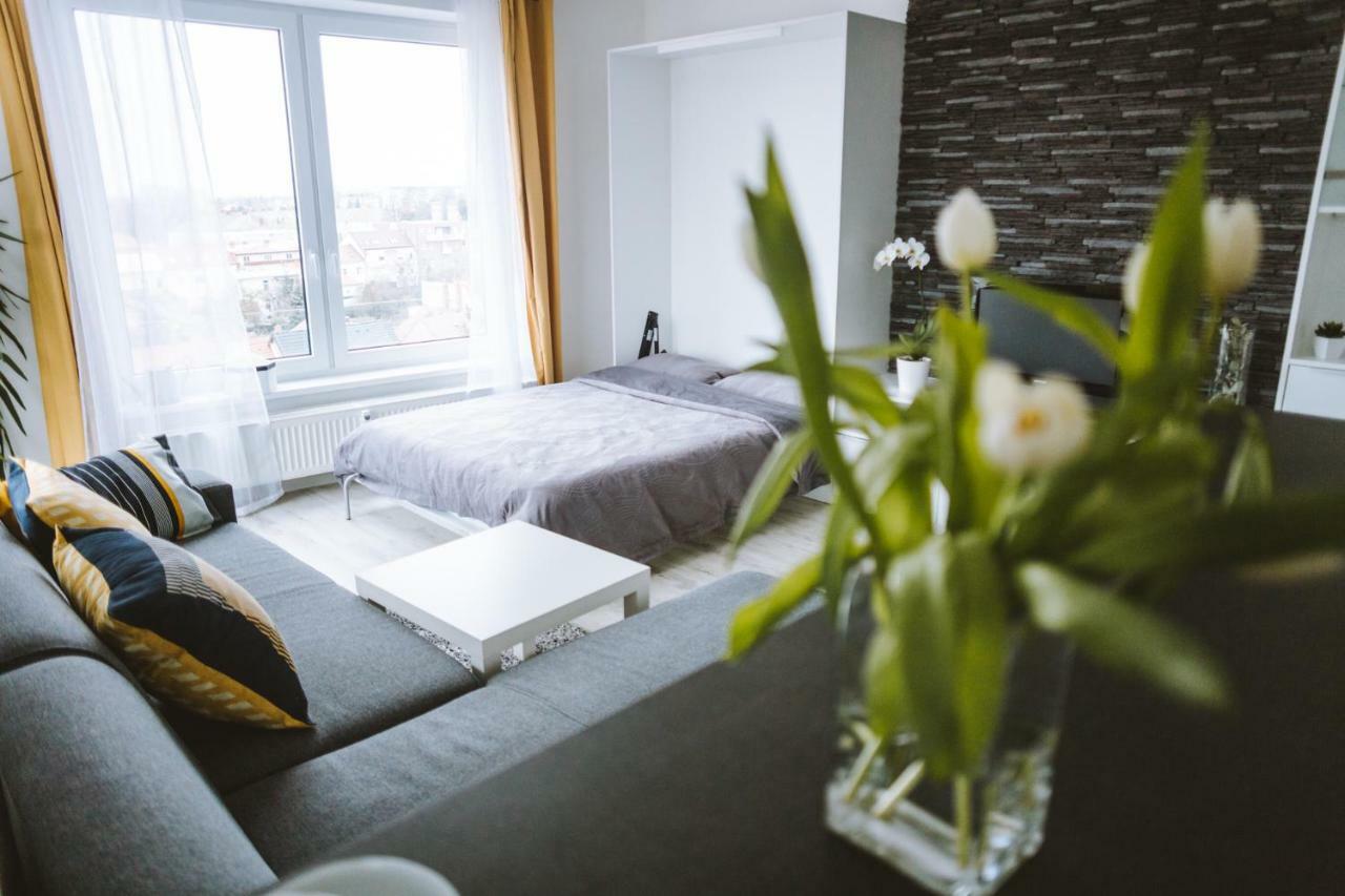 Design Apartment, The City Centre Close To The Health Spa Пиещани Екстериор снимка