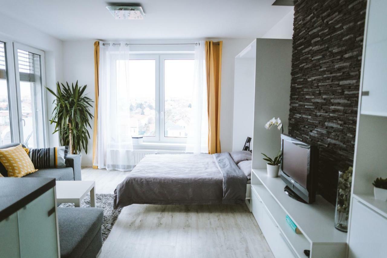Design Apartment, The City Centre Close To The Health Spa Пиещани Екстериор снимка