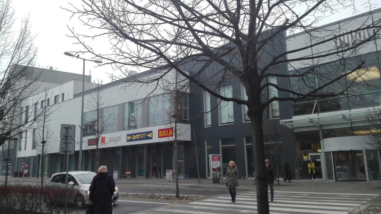Design Apartment, The City Centre Close To The Health Spa Пиещани Екстериор снимка